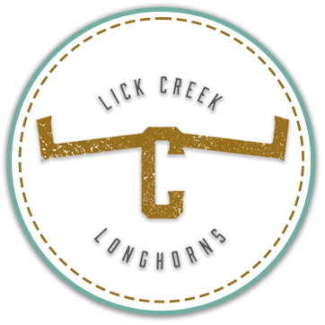 Lick Creek Longhorns logo